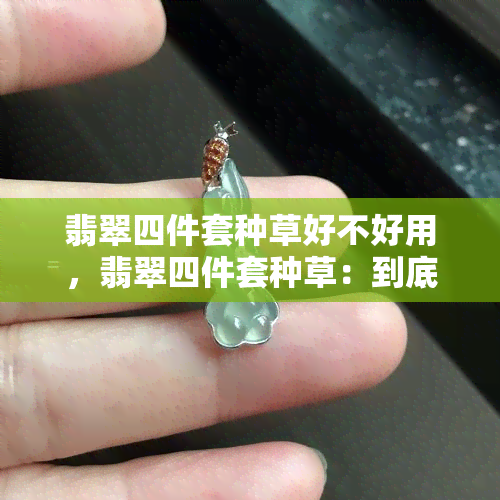 翡翠四件套种草好不好用，翡翠四件套种草：到底好用不好用？