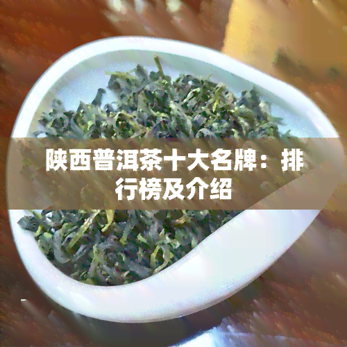 陕西普洱茶十大名牌：排行榜及介绍