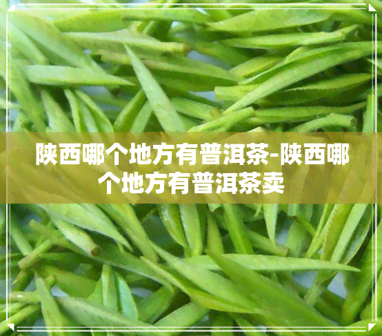 陕西哪个地方有普洱茶-陕西哪个地方有普洱茶卖