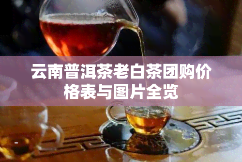 云南普洱茶老白茶团购价格表与图片全览