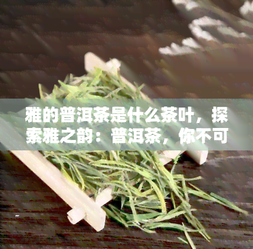 雅的普洱茶是什么茶叶，探索雅之韵：普洱茶，你不可错过的茶叶种类！