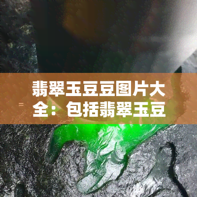 翡翠玉豆豆图片大全：包括翡翠玉豆吊坠、豆种翡翠玉、镶嵌图片等全面展示！