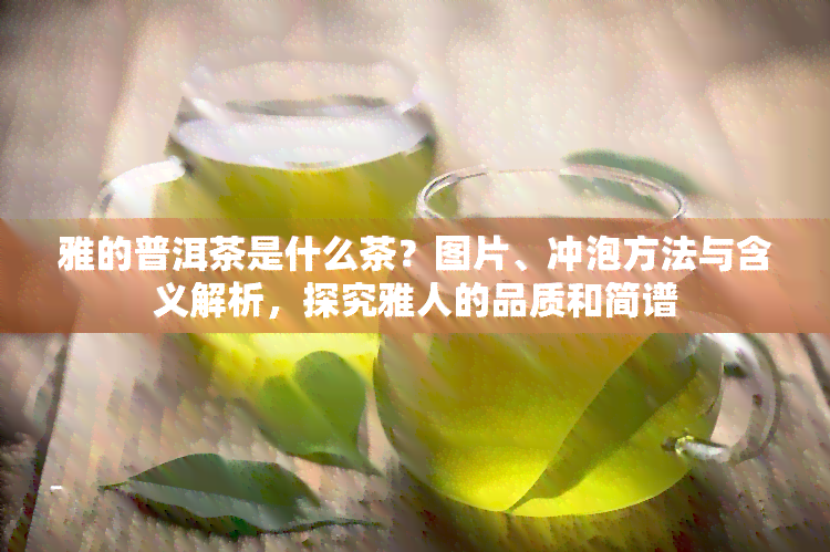 雅的普洱茶是什么茶？图片、冲泡方法与含义解析，探究雅人的品质和简谱