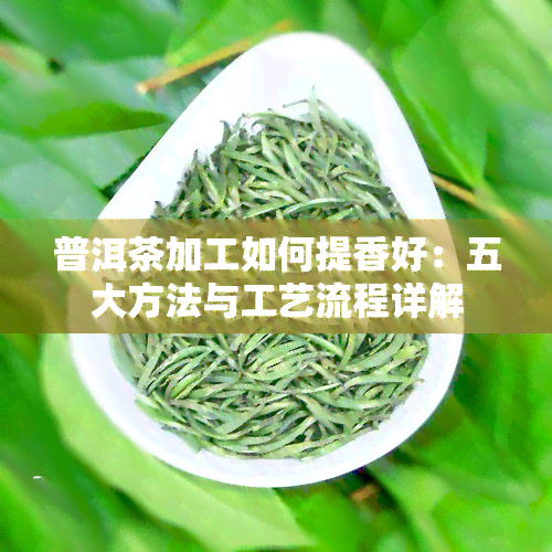 普洱茶加工如何提香好：五大方法与工艺流程详解