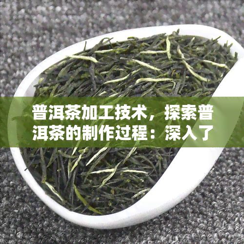 普洱茶加工技术，探索普洱茶的制作过程：深入了解其加工技术