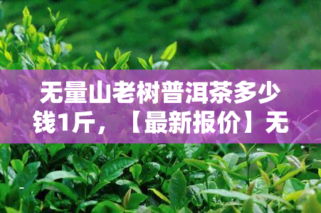 无量山老树普洱茶多少钱1斤，【最新报价】无量山老树普洱茶价格1斤多少钱