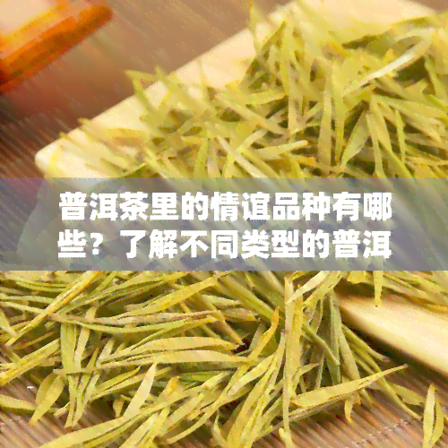 普洱茶里的情谊品种有哪些？了解不同类型的普洱茶及其特点