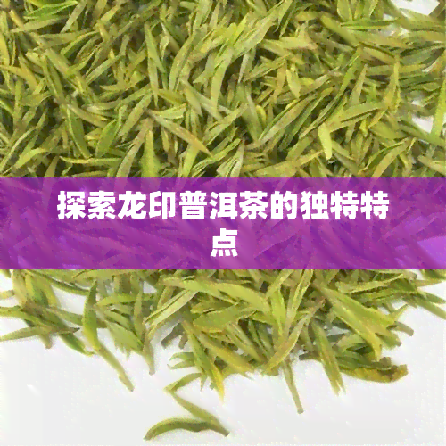 探索龙印普洱茶的独特特点