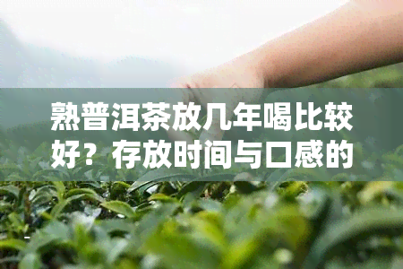 熟普洱茶放几年喝比较好？存放时间与口感的关系