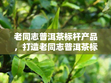 老同志普洱茶标杆产品，打造老同志普洱茶标杆产品，提升影响力与市场份额