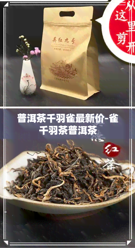 普洱茶千羽雀最新价-雀千羽茶普洱茶