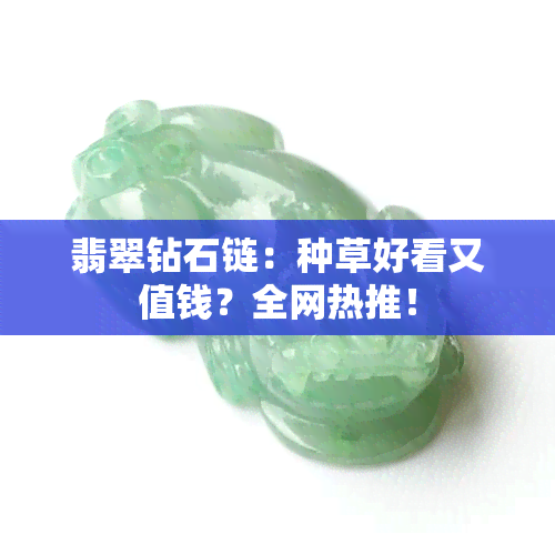 翡翠钻石链：种草好看又值钱？全网热推！