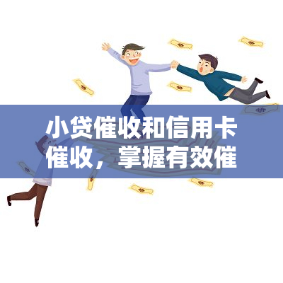 小贷和信用卡，掌握有效技巧：小贷与信用卡的策略与实践