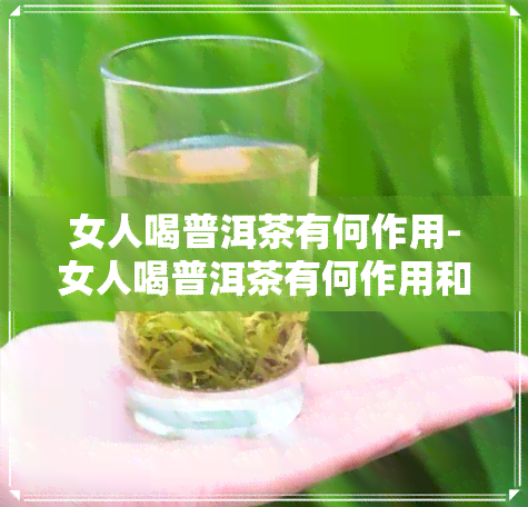 女人喝普洱茶有何作用-女人喝普洱茶有何作用和功效