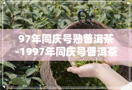 97年同庆号熟普洱茶-1997年同庆号普洱茶