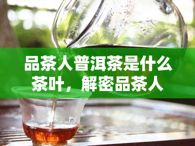 品茶人普洱茶是什么茶叶，解密品茶人普洱茶：它到底是一种什么样的茶叶？