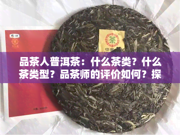 品茶人普洱茶：什么茶类？什么茶类型？品茶师的评价如何？探讨品茶的意义与心境。