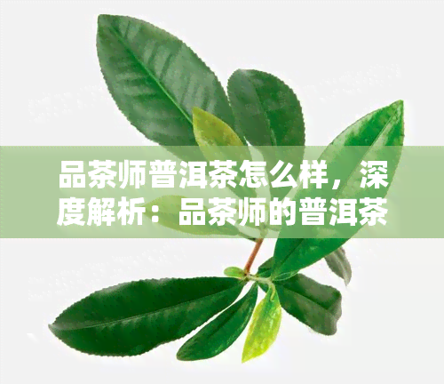 品茶师普洱茶怎么样，深度解析：品茶师的普洱茶究竟如何？