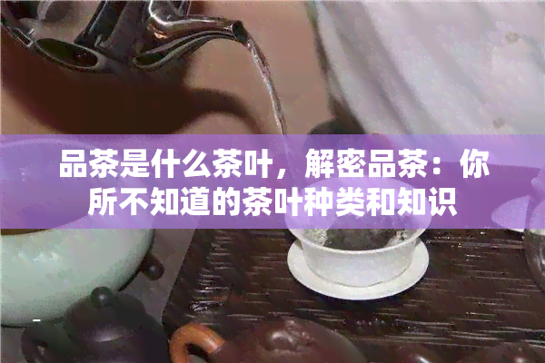 品茶是什么茶叶，解密品茶：你所不知道的茶叶种类和知识