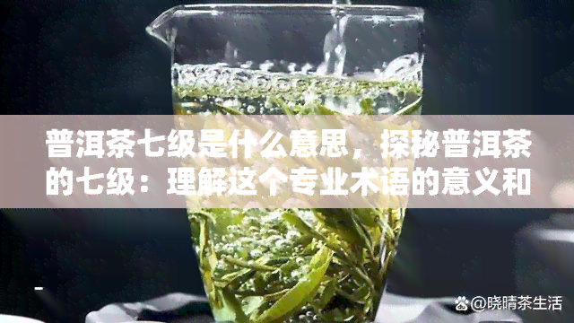 普洱茶七级是什么意思，探秘普洱茶的七级：理解这个专业术语的意义和价值