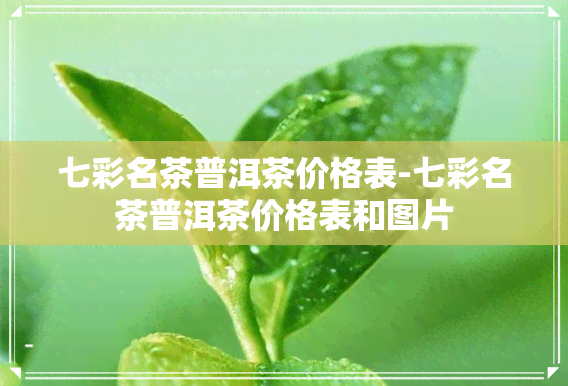 七彩名茶普洱茶价格表-七彩名茶普洱茶价格表和图片