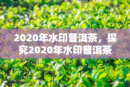 2020年水印普洱茶，探究2020年水印普洱茶的独特魅力与口感