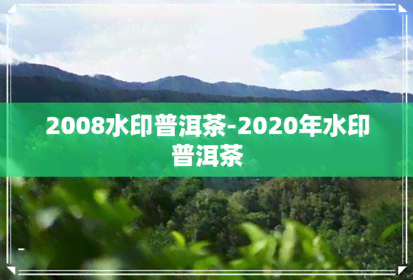 2008水印普洱茶-2020年水印普洱茶