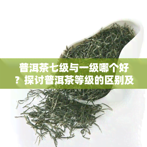 普洱茶七级与一级哪个好？探讨普洱茶等级的区别及口感