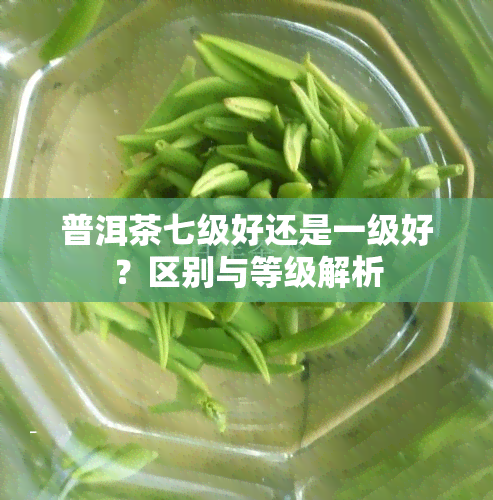 普洱茶七级好还是一级好？区别与等级解析