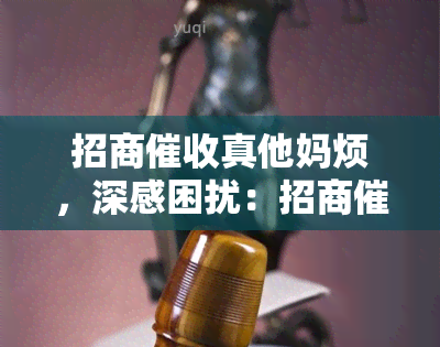 招商 *** 烦，深感困扰：招商让人烦恼不已