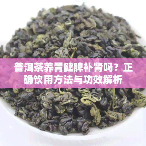 普洱茶养胃健脾补肾吗？正确饮用方法与功效解析