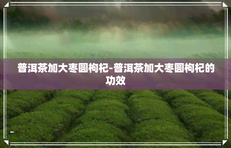 普洱茶加大枣圆枸杞-普洱茶加大枣圆枸杞的功效