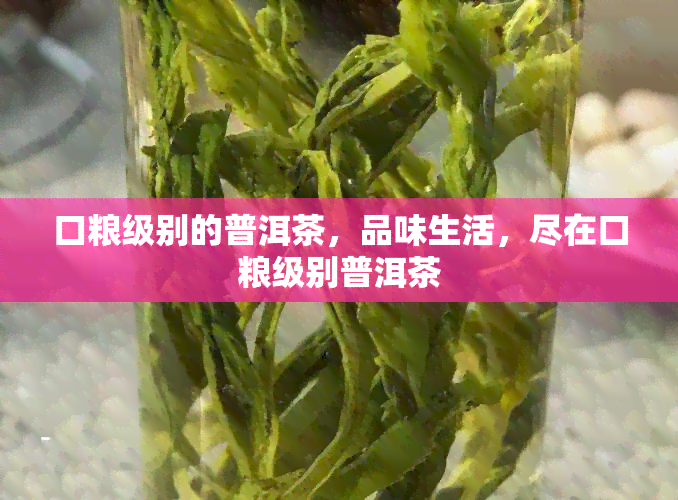 口粮级别的普洱茶，品味生活，尽在口粮级别普洱茶