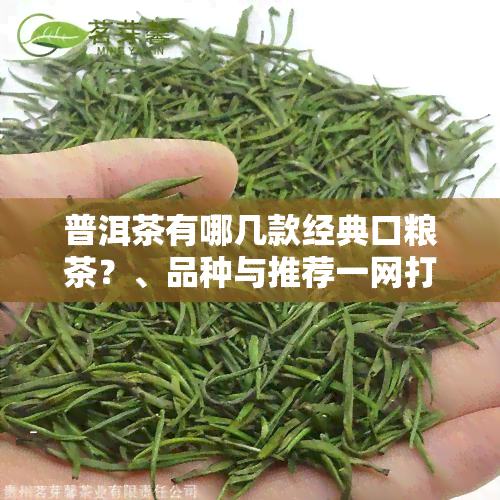 普洱茶有哪几款经典口粮茶？、品种与推荐一网打尽！