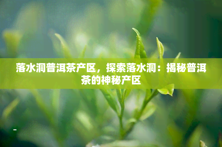 落水洞普洱茶产区，探索落水洞：揭秘普洱茶的神秘产区