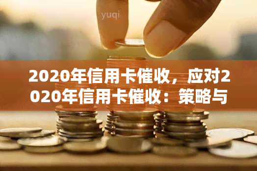 2020年信用卡，应对2020年信用卡：策略与建议