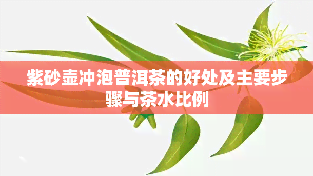 紫砂壶冲泡普洱茶的好处及主要步骤与茶水比例