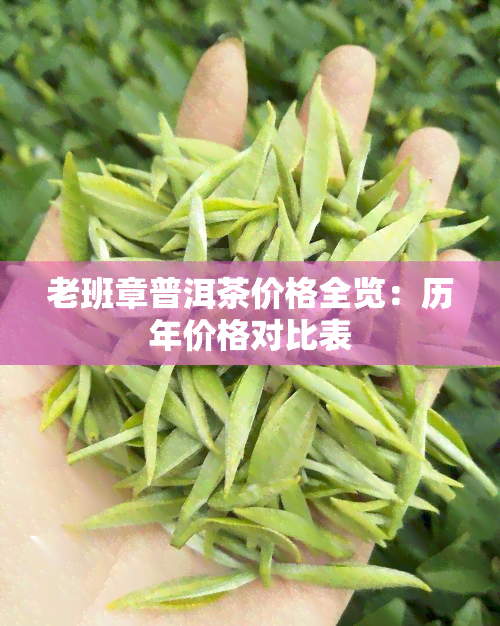 老班章普洱茶价格全览：历年价格对比表