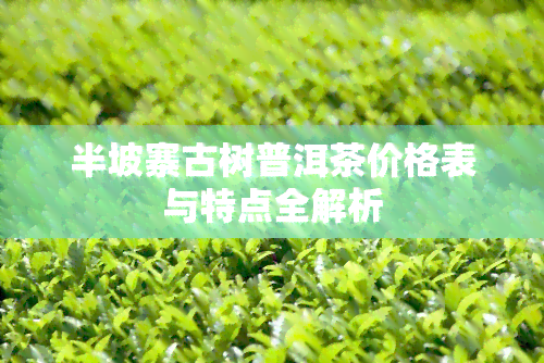 半坡寨古树普洱茶价格表与特点全解析