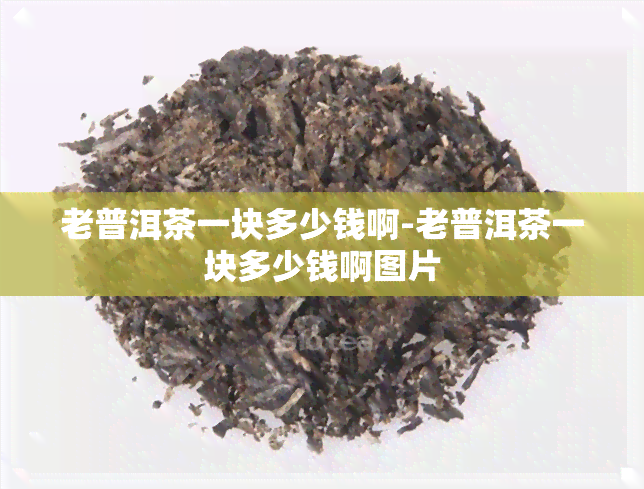 老普洱茶一块多少钱啊-老普洱茶一块多少钱啊图片