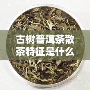 古树普洱茶散茶特征是什么意思，探索古树普洱茶的神秘魅力：散茶的独特特征解析