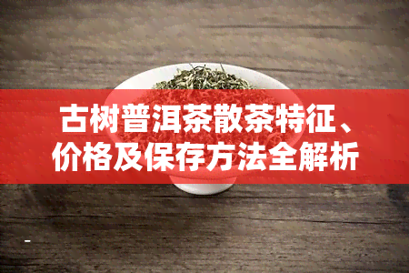 古树普洱茶散茶特征、价格及保存方法全解析