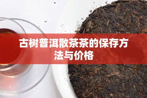 古树普洱散茶茶的保存方法与价格