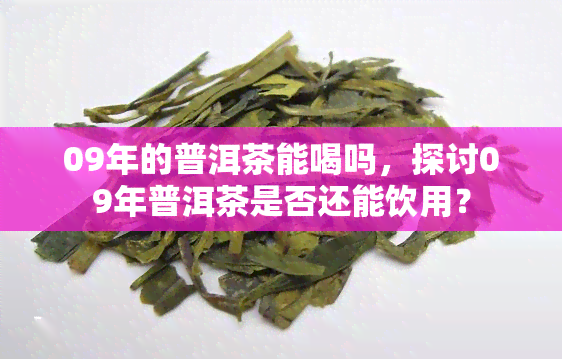 09年的普洱茶能喝吗，探讨09年普洱茶是否还能饮用？