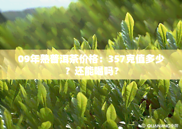 09年熟普洱茶价格：357克值多少？还能喝吗？