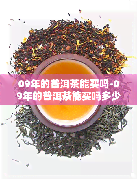 09年的普洱茶能买吗-09年的普洱茶能买吗多少钱