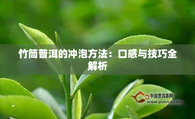 竹筒普洱的冲泡方法：口感与技巧全解析