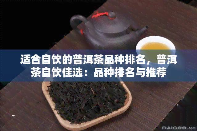 适合自饮的普洱茶品种排名，普洱茶自饮佳选：品种排名与推荐