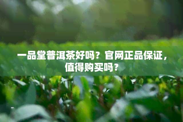 一品堂普洱茶好吗？官网正品保证，值得购买吗？