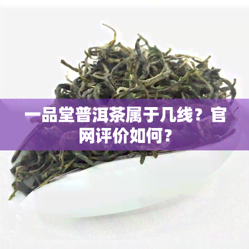 一品堂普洱茶属于几线？官网评价如何？